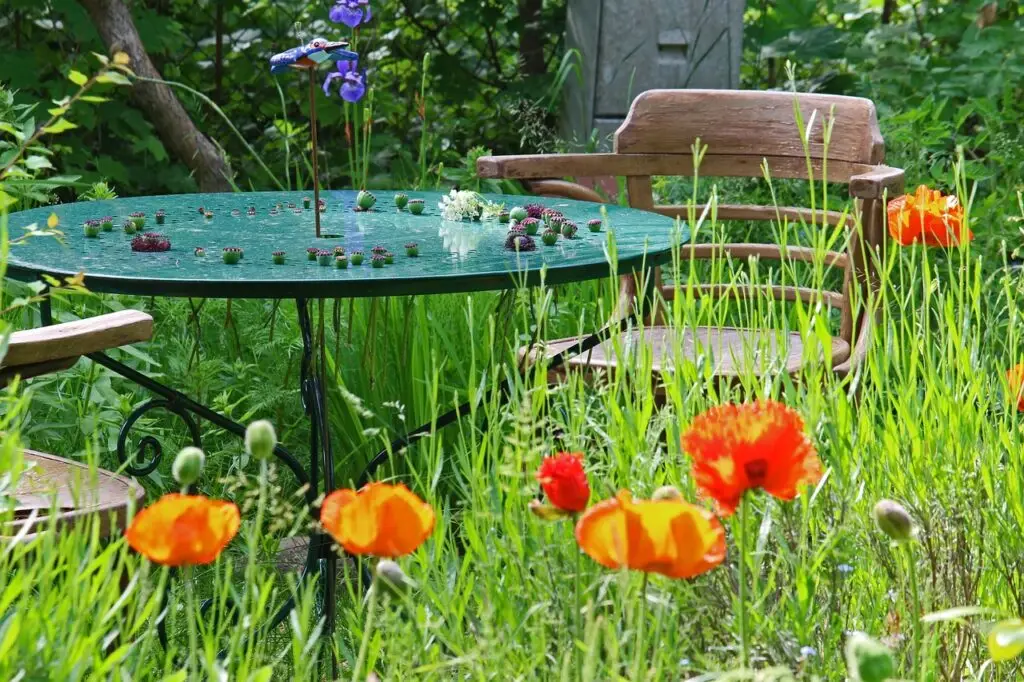 Lire la suite à propos de l’article Aménagez votre terrasse et jardin sans stress : conseils et tendances à adopter